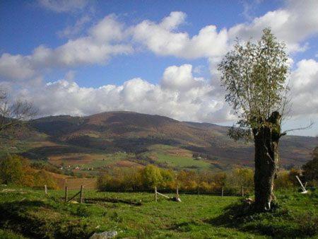 Le Colombier D'Amalthee Villa Vernay Eksteriør bilde